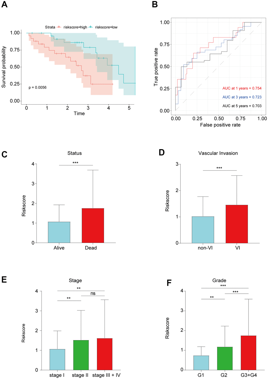 (A) Kaplan–Meier survival analysis in Tongji cohort. (B) ROC curve showed good accuracy of this signature in Tongji cohort. (C) The association between risk score and living status. (D) The association between risk score and vascular invasion. (E) The association between risk score and tumor grade. (F) The association between risk score and tumor stage. **P 