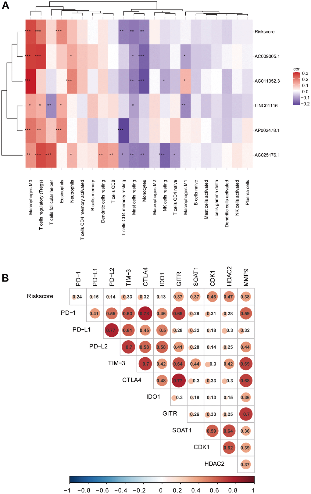 (A) Correlation analyses of the EMT-related lncRNA signature with immune cell infiltration. (B) Correlation analyses of the EMT-related lncRNA signature with immune checkpoint targets.