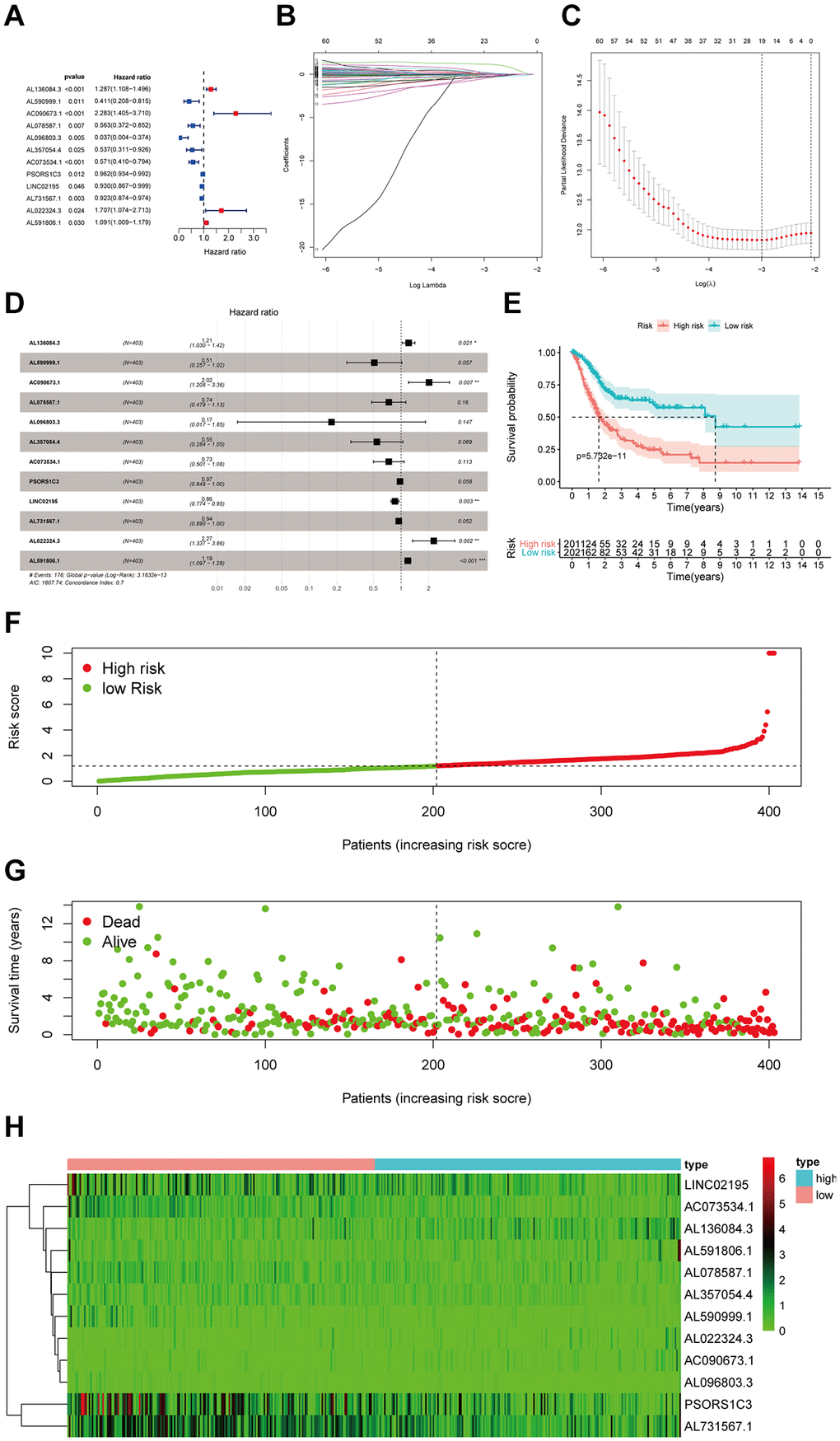 Identification and assessment of immune-related lncRNA prognostic signature for bladder cancer. (A) The HR and p-value of selected genes in the immune terms using the univariable Cox HR regression (Criteria: p-value B) The LASSO Cox analysis identified 19 lncRNAs most related to prognostics. (C) The 10-round cross-validation determined the optimal values of the penalty parameter. (D) The HR and p-value from the multivariable Cox HR regression prognostic signature. (E) Patients showed poor overall survival (OS) in the high-risk group (red) than those in the low-risk group (blue). (F) The risk curve of each sample reordered by risk score. (G) A sample survival overview using the scatter plot. The green dots represent survival and red represent death, respectively. (H) Heatmap showed the expression of the signature in the high-risk groups and low-risk groups. The pink and blue bars represented the low-risk group and the high-risk group. And the evolution from green to red represented the 0 to 6 level of gene expression.