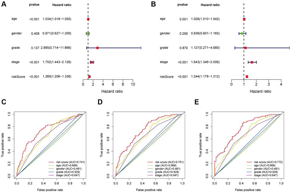 Evaluate the independent prognostic value of the risk score by using the Cox regression analysis. The (A) univariate cox regression and (B) multivariate cox regression analysis of age, gender, grade, and risk score. Calculate the AUC for age, gender, grade, and risk score of the total survival according to the multivariate time-dependent ROC curve for 1-year (C), 3-years (D) and 5-years (E).