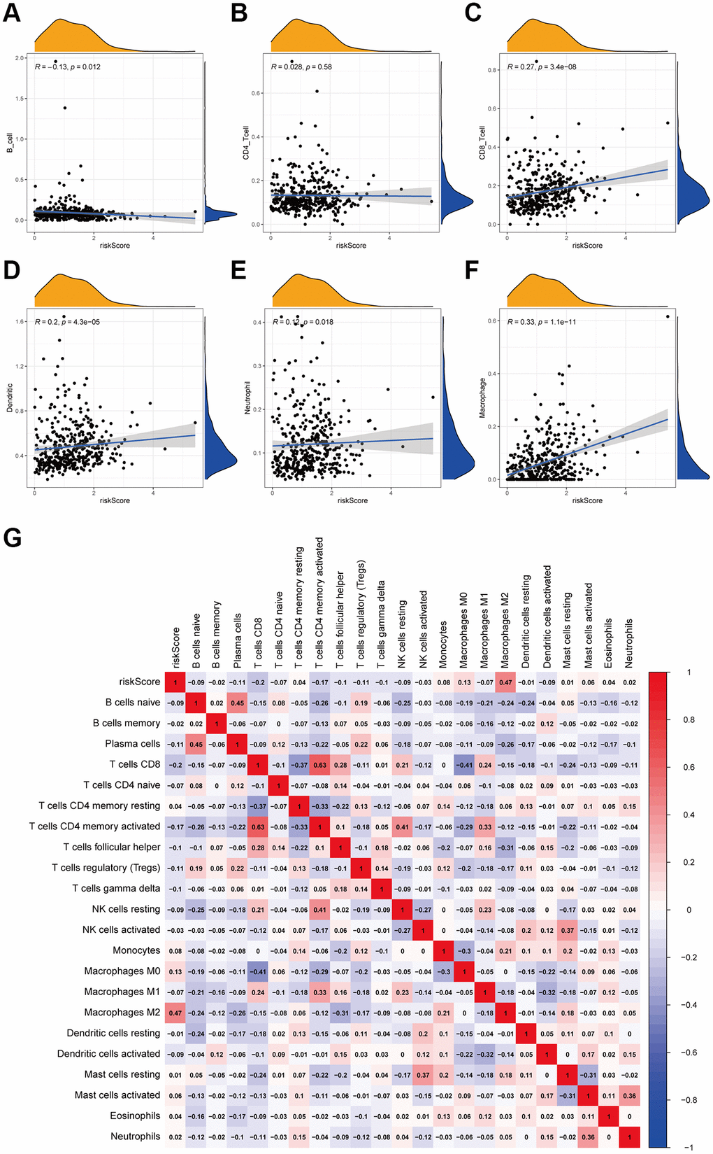 Correlation between the 12 lncRNA prognostic signature for bladder cancer and the infiltration of immune cell subtypes. The correlation values of all the immune cells with risk score. (A) B cells. (B) CD4+ T cell. (C) CD8+ T cell. (D) Dendritic. (E) Neutrophil. (F) Macrophage. (G) The correlation of immune cell infiltration and risk scores according to the infiltration results estimated by CIBESORT.
