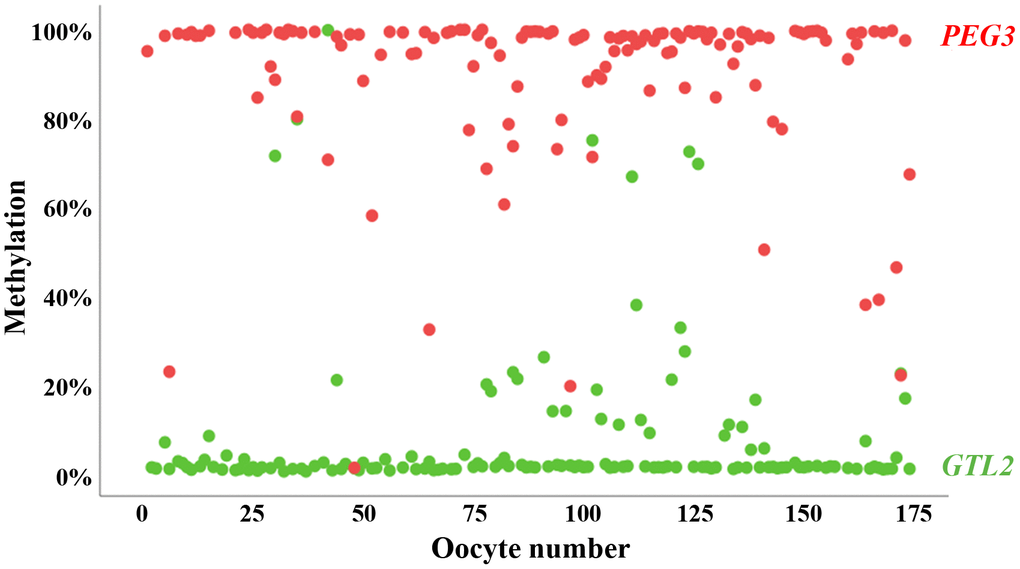 Methylation of oppositely imprinted regions in individual human oocytes. Mean methylation of PEG3 (red dots) and GTL2 (green dots) in 174 individual human GV oocytes included in this study. Only oocytes with correct oocyte methylation of at least one of the two analyzed imprinted genes were taken for further analysis. The vast majority (88%) of oocytes display correct methylation for both controls.