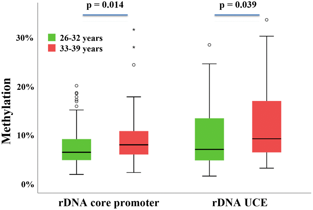 rDNA methylation difference between oocytes from younger versus older women. Box plots showing the rDNA core promoter and rDNA UCE methylation in younger women (26-32 years; N = 42) and older women (33-39 years; N = 48). The median is represented by a horizontal line. The bottom of the box indicates the 25th percentile, the top the 75th percentile. Outliers are shown as circles and extreme outliers as stars. The methylation levels in the older group are higher compared to the younger group.