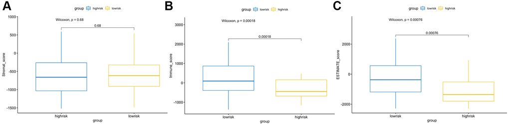 ESTIMATE algorithm analysis of different risk score groups. Comparisons of stromal (A), immune (B) and ESTIMATE (C) scores between the high- and low-risk groups.