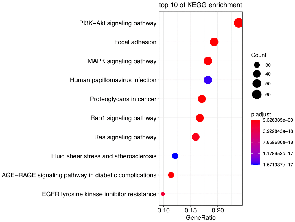 Pathway enrichment analysis of DE-AFs. Kyoto Encyclopedia of Genes and Genomes (KEGG) pathway enrichment analysis of DE-AFs.