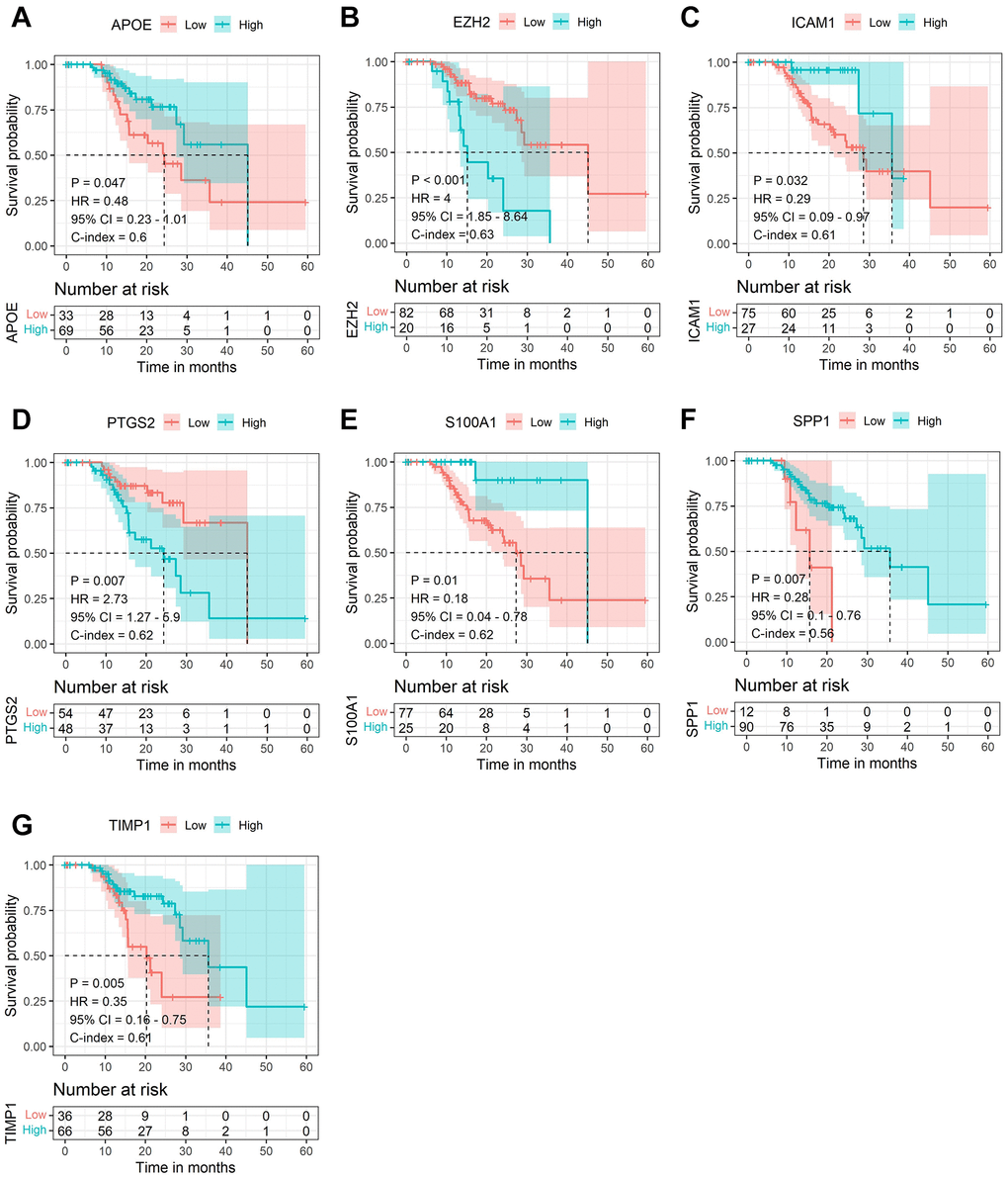 The Kaplan-Meier survival analysis of the selected DE-AFs. Survival analysis of the selected DE-AFs in the TCGA cohort, APOE (A), EZH2 (B), ICAM1 (C), PTGS2 (D), S100A1 (E), SPP1 (F) and TIMP1 (G). High and low expression is shown in blue and red, respectively.