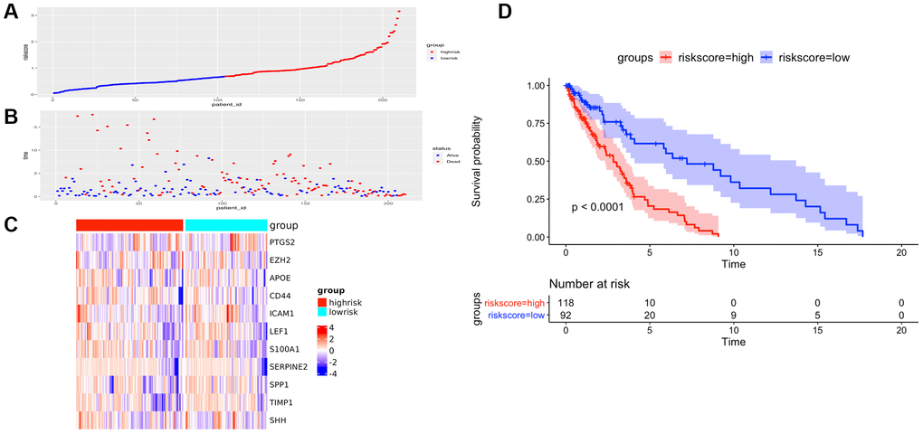 The prognostic performance of the AF signature risk score in the validation set. (A) The distribution of high-risk and low-risk patients based on the risk score ranking. (B) The survival duration and status of the patients. The horizontal axis is the sample, and the vertical axis is the survival time. (C) Heatmap of significant survival-related DE-AFs between high-risk and low-risk patients. (D) Kaplan–Meier survival curves of overall survival of the high- and low-risk groups stratified by the risk score calculated by the 11-AF signature risk prediction formula.