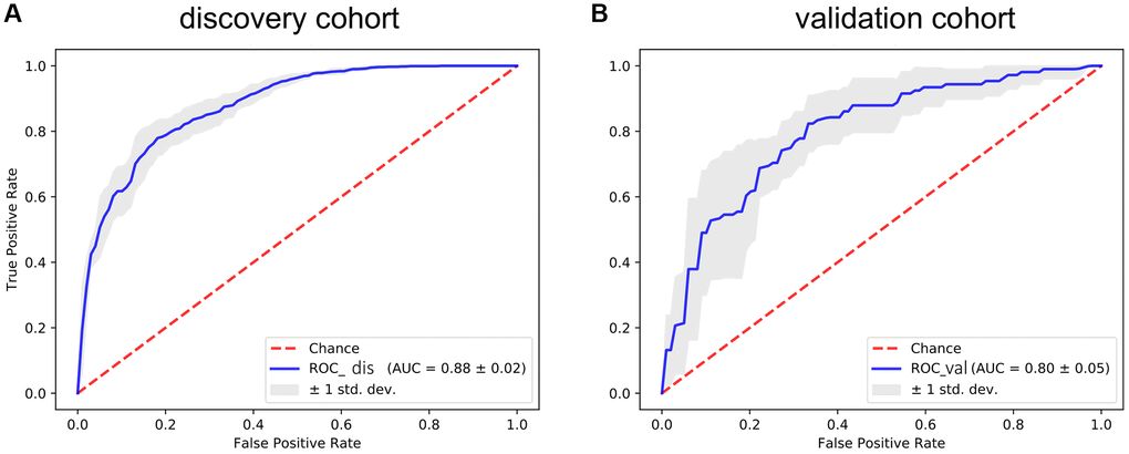 The ROC curve for assessing the predictive power of the AF signature in the discovery cohort and validation cohort. (A) The ROC curve of the discovery cohort. (B) The ROC curve of the validation cohort. The red dotted line is the random line, the blue curve is the AUC curve, and the gray line is the confidence interval.