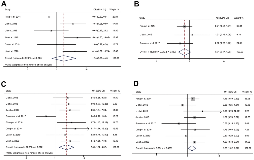 The correlation between HULC expression level and tumor characteristics. (A) The forest plot of ORs for the correlation between HULC expression and tumor size in patients with digestive system tumors; (B) The forest plot of ORs for the correlation between HULC expression and number of tumors in patients with digestive system tumors; (C) The forest plot of ORs for the correlation between HULC expression and TNM stage in patients with digestive system tumors; (D) The forest plot of ORs for the correlation between HULC expression and differentiation in patients with digestive system tumors.