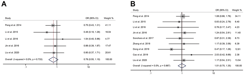 The correlation between HULC expression level and the patient’s age, gender. (A) The forest plot of ORs for the correlation between HULC expression and age in patients with digestive system tumors; (B) The forest plot of ORs for the correlation between HULC expression and gender in patients with digestive system tumors.