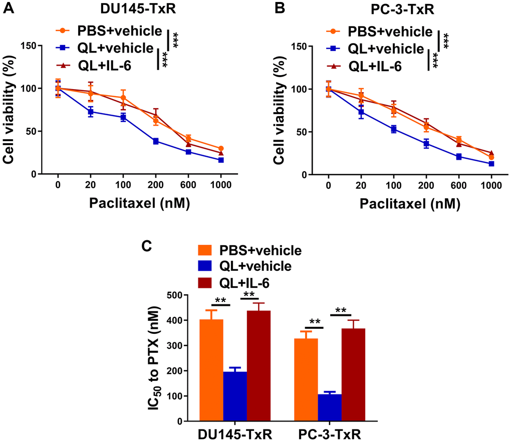 Qi Ling serum resensitized paclitaxel-resistant prostate cancer cells to paclitaxel via IL-6/STAT3 signaling in TAMs. In the same co-culture system above: TAMs were treated with PBS+vehicle, Qi Ling+vehicle or Qi Ling+IL-6. (A and B) MTT assay showed viability of DU145-TxR and PC-3-TxR cells of each group exposed with indicated concentrations of paclitaxel for 24 h. (C) IC50 values of DU145-TxR and PC-3-TxR cells of each group were determined from the viability versus paclitaxel concentration curves. The data represent the mean ± SD. **p ***p A and B), one-way ANOVA followed a post hoc test for panel (C).