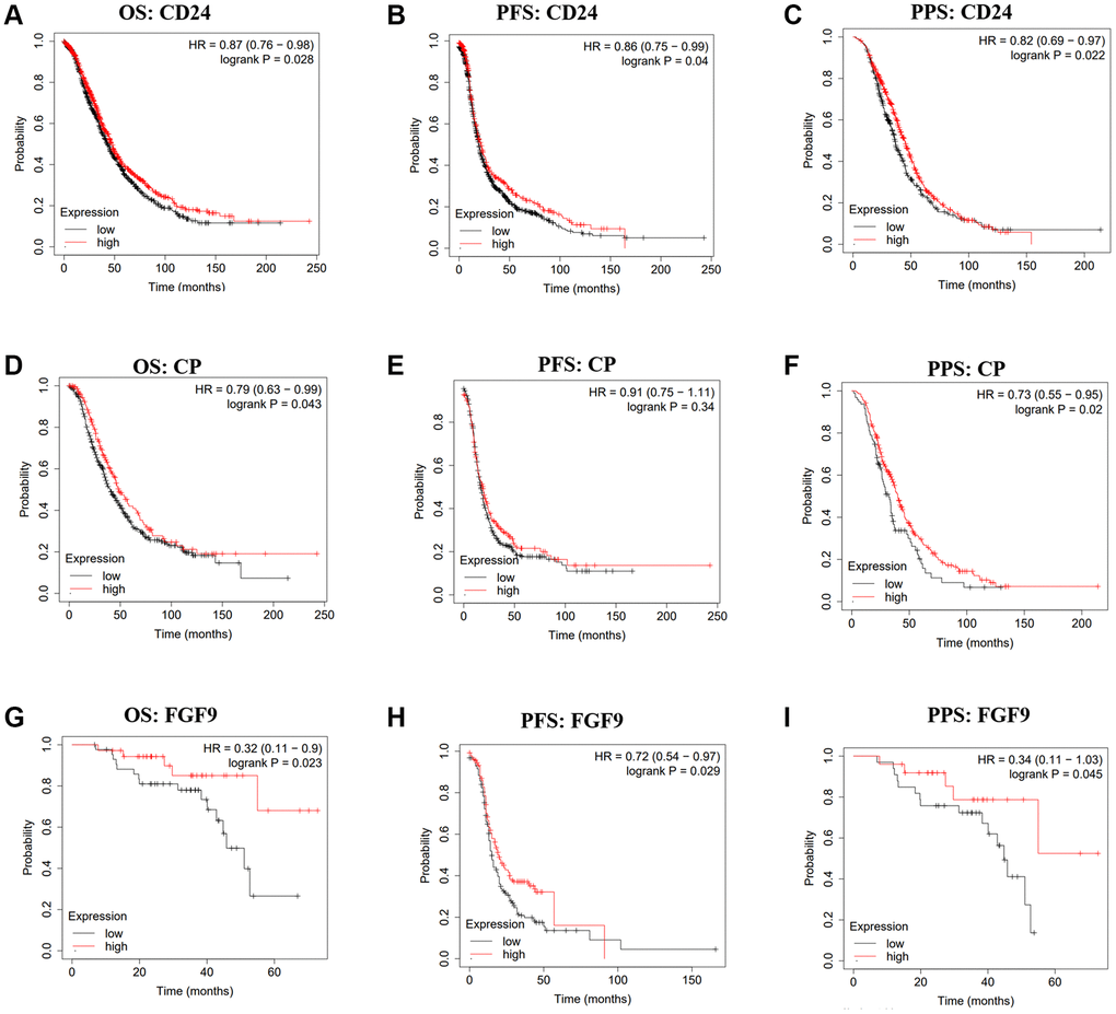The prognostic values of CD24, CP and FGF9 in OC. (A–I) The prognostic values of CD24, CP and FGF9 in ovarian cancer patients. Abbreviations: OS: overall survival; PFS: progression-free survival; PPS: post progression survival.