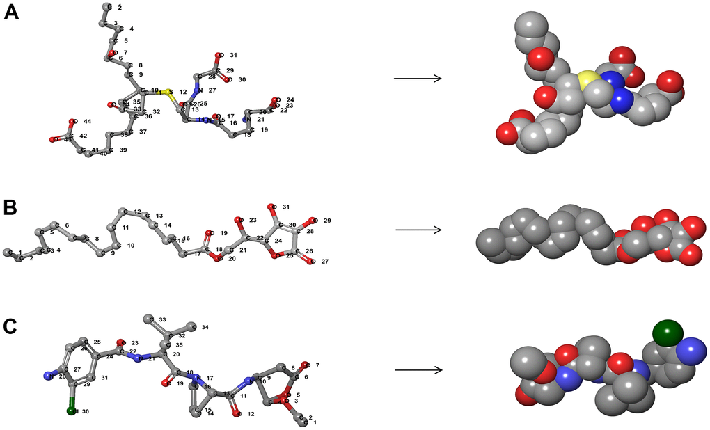 The 3D structures of Belnacasan and novel compounds selected from virtual screening by Schrodinger. (A) ZINC000004099068; (B) ZINC000100634116; (C) Belnacasan.