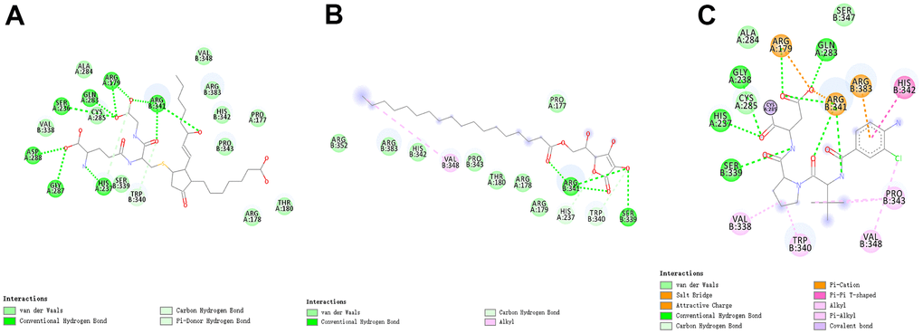 The intermolecular interaction in the binding pockets by DS 4.5 of the predicted binding modes of (A) ZINC000004099068 to Caspase-1; (B) ZINC000100634116 to Caspase-1, (C) Belnacasan to Caspase-1.