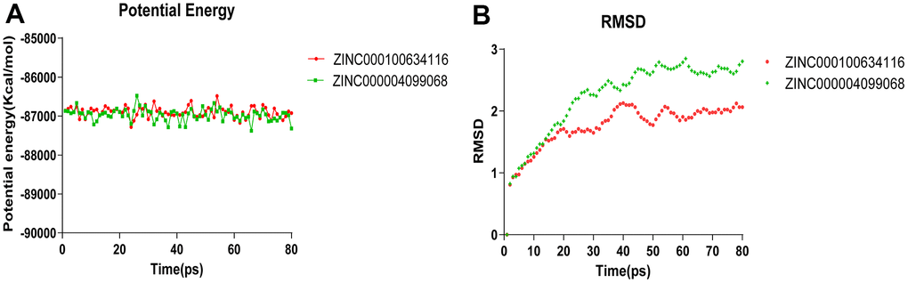 Results of molecular dynamics simulation of three complexes. (A) Potential Energy; (B) Average backbone RMSD.