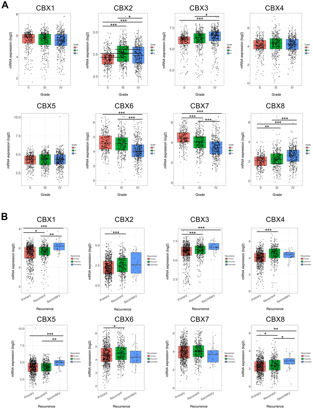 Association of CBXs transcript levels with clinical pathology. (A) Relationships between mRNA expression levels of eight CBX members and tumor grades of GBM. (B) Relationships between mRNA expression levels of eight CBX members and recurrent status of GBM. Analyses were conducted using GlioVis. * p p p 