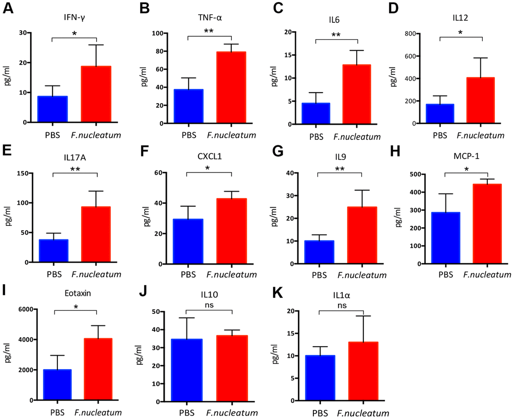 Fusobacterium nucleatum regulates the levels of inflammatory cytokines in mice plasma. (A–K) Concentrations of the pro-inflammatory cytokines, (A) Interferon-gamma (IFN-γ), (B) tumor necrosis factor-α (TNF-α), (C) IL6, (D) IL12, (E) IL17A, (F) chemokine (C-X-C) motif ligand (CXCL1), (G) IL9, (H) macrophage chemoattractant protein-1(MCP-1), (I) Eotaxin, (J) IL10, (K) IL1α in murine plasma were detected by the Bio-Plex Pro Mouse Cytokine Array kit. Data are presented as mean ± standard deviation (n=5 per group). *P P P 