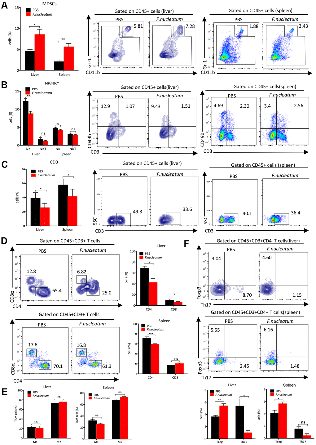Fusobacterium nucleatum aggravates colorectal cancer liver metastasis by restructuring the liver immune microenvironment. (A) Myeloid-derived suppressor cells (MDSCs; CD45+CD11b+Gr-1+) in the liver and spleen were determined by flow cytometry. (B) NK (CD45+CD3-CD49b+) and NKT cells (CD45+CD3+CD49b+) were analyzed by flow cytometry. (C, D) CD3+T cells (C), CD3+CD4+T cells and CD3+CD8+T cells (D) in the liver and spleen were assessed by flow cytometry and analyzed by gating on lymphocytes and CD3+ cells. (E) Tumor-associated macrophages (CD45+CD11b+F4/80+) in the liver and spleen were determined by flow cytometry. (F) Treg cells (CD4+Foxp3+) and Th17 cells (IL17+CD4+) were evaluated by flow cytometry and analyzed by gating on CD4+T cells. Data are presented as mean ± standard deviation (n=5 per group). *P P P 
