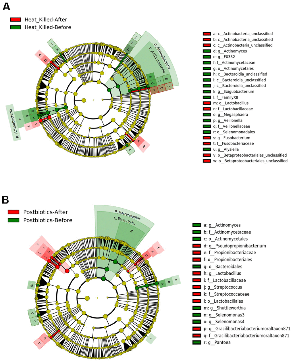 LEfSe analysis of differential oral microbiota before and after 4 weeks of consuming oral lozenge. Comparing changes in oral microbiota with the intake of (A) heat-killed probiotic lozenges and (B) postbiotic lozenges (n = 25 in each group).