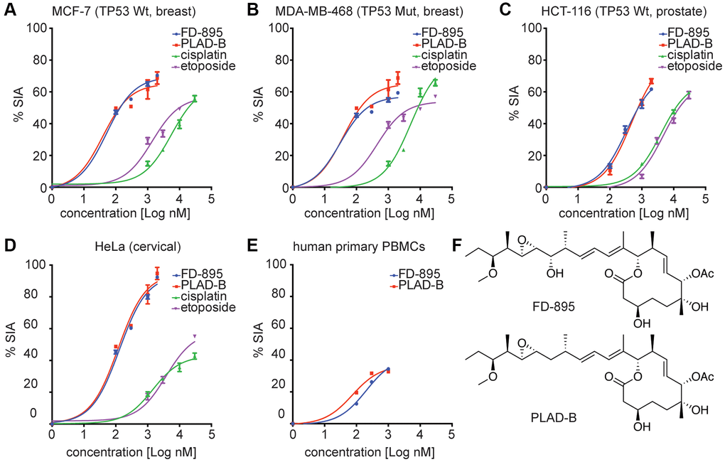 In vitro cytotoxicity induced by FD-895 and pladienolide B in different cancer cell lines, and normal human primary PBMCs. Cancer Cells were exposed to FD-895 (100 nM to 2 uM), pladienolide B (100 nM to 2 uM), etoposide (1 μM to 30 μM), and cisplatin (1 μM to 30 μM) for 48 h. Apoptosis were measured in MCF-7 (A), MDA-MB-468 (B), HCT-116 (C) and HeLa (D) cells using MTS assay. The absorbance of the control (cells without treatment) was subtracted from the treated cells of each cell line. (E) Normal PBMC cells were exposed to FD-895, and pladienolide B. Cells were stained with propidium iodide and DiOC6 to differentiate dead and viable cells by using flow cytometer. Data presented in form of % specific induced apoptosis (% SIA). To assess the compound specific induced apoptosis vs. background spontaneous cell death from in vitro culture conditions, we calculated the percentage of SIA using the following formula: % SIA = [(compound induced apoptosis – media only spontaneous apoptosis)/(100- media only spontaneous apoptosis)] × 100. The data shows the results of samples analyzed in duplicate with the mean and its respective SD. (F) Structures of pladienolide-B and FD-895.