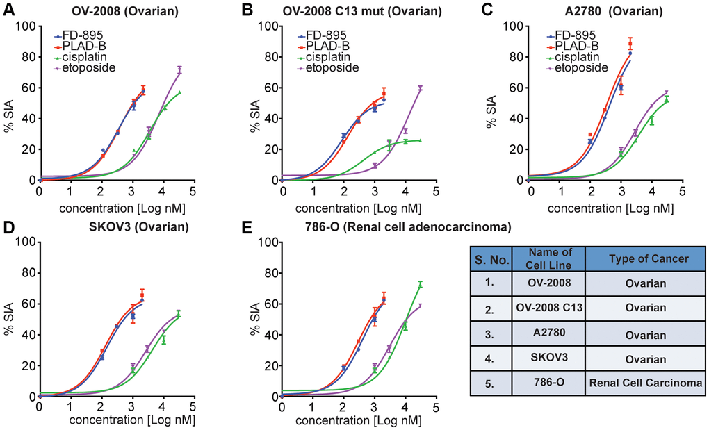 FD-895 or by pladienolide B induced apoptosis in ovarian and renal cancer cells. Ovarian cancer cells (A) OV-2008, cisplatin sensitive (B) OV-2008 C13 mut, cisplatin resistant, (C) A2780, (D) SKOV3 or (E) renal cancer cells (786-O) were incubated with FD-895 (100 nM to 2 μM), pladienolide B (100 nM to 2 μM), etoposide (1 μM to 30 μM), or of cisplatin (1 μM to 30 μM) for 48 h. Cells viability were measured as using MTS assay. This experiment was repeated in triplicate independently. Data presented in form of % SIA. The data shows the results of samples analyzed in duplicate with the mean and its respective SD.