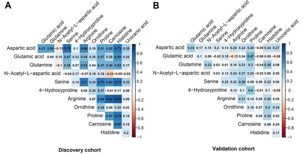 Pairwise correlation coefficients among the metabolites in the targeted assay. (A) Discovery cohort. (B) Validation cohort.