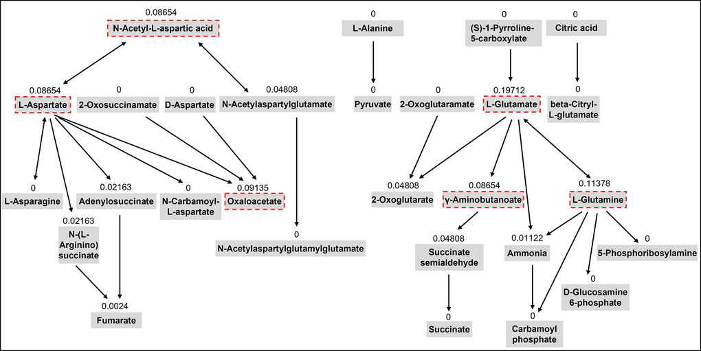 The topology analysis of the pathway of alanine, aspartate, and glutamate metabolism. The metabolites with red dash lines are the metabolites we selected from the pathway for the targeted assay. The number above each metabolite is the importance score of the metabolite in the pathway based on the topology analysis.