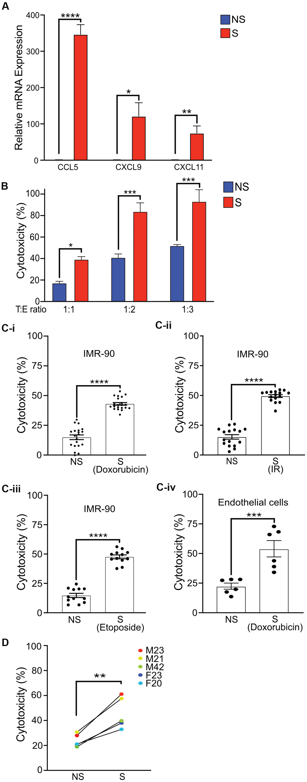 Activated primary NK cells selectively eliminate senescent cells. (A) Quantitative Realtime PCR was performed to detect the mRNA levels of CCL5, CXCL9, and CXCL11 in non-senescent and senescent IMR-90 fibroblasts. The results are presented as mean fold change in NS compared to S samples from two independent experiments performed in triplicate, and error bars represent ±SEM. Statistical analysis performed using unpaired t test. *p B) NS or S IMR-90 fibroblasts were co-incubated with NK cells for 16 h at T:E ratios of 1:1, 1:2 and 1:3 and cytotoxicity was evaluated by LDH release. The graphs show the mean and S.E. of % LDH release. NS or S (C-i) doxorubicin-treated (n=6), (C-ii) irradiated (n=3) or (C-iii) etoposide-treated (n=3) IMR-90 fibroblasts or (C-iv) doxorubicin-treated endothelial cells (n=2) were overlayed with NK cells for 16 hours at T:E ratio of 1:1, and cytotoxicity was evaluated by LDH release. The results are plotted as mean % cytotoxicity for NS and S cells with each experiment performed in at least triplicate. The graphs show mean % LDH release. (D) NK cells isolated and enriched from three different individuals were co-cultured with NS or S IMR-90 cells at T:E ratio of 1:1 and cytotoxicity was evaluated by LDH release after 16 hours of co-culture. Experiments were performed in triplicate and the results are plotted as mean % cytotoxicity for NS and S. Donor sex and age are indicated in the figure. Statistical analysis performed using unpaired t test. *p 