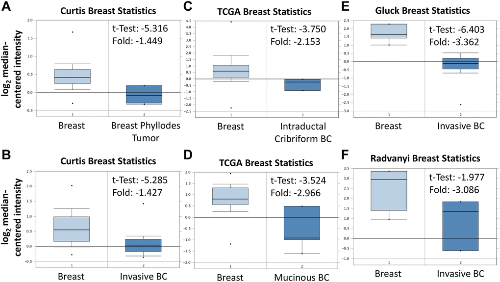 Expression of ABCA10 gene in breast cancer in Oncomine database. ABCA10 mRNA levels from (A and B) Curtis Breast statistics cohort, (C and D) TCGA Breast Statistics cohort, (E) Gluck Breast Statistics cohort (F) Radvanyi Breast Statistics cohort in BRCA and normal tissue. Note: p 