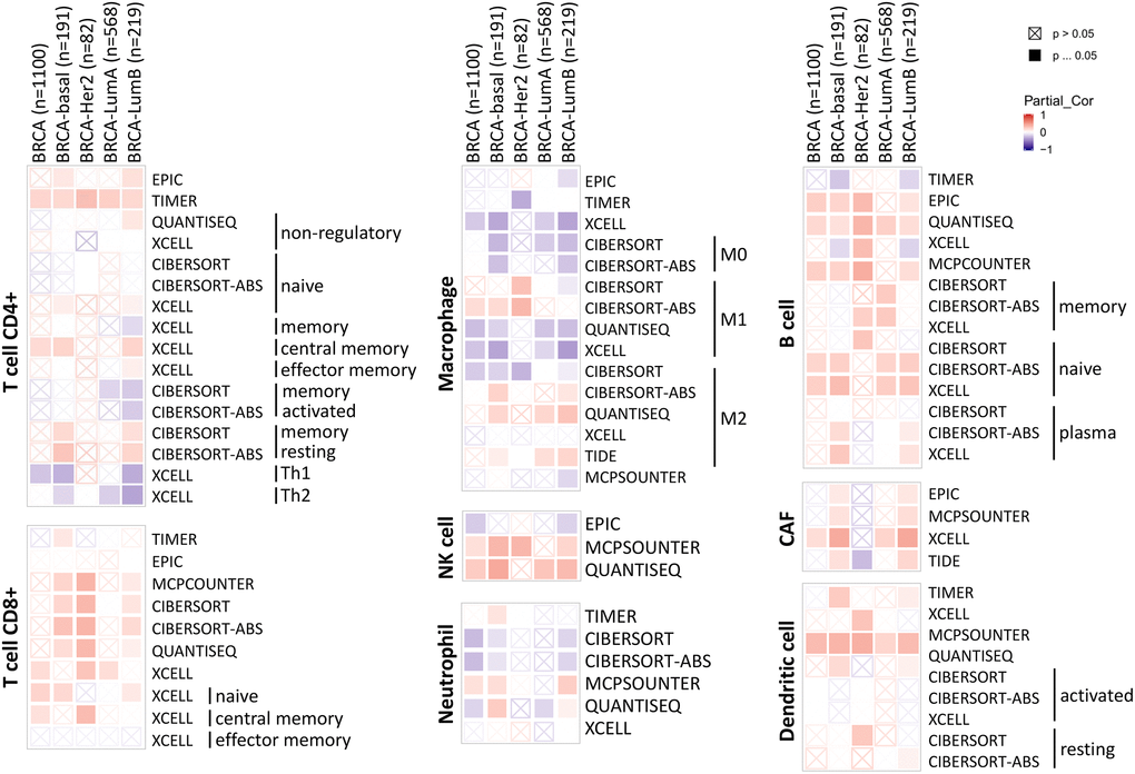 Correlation of ABCA10 expression with immune infiltration level in BRCA.