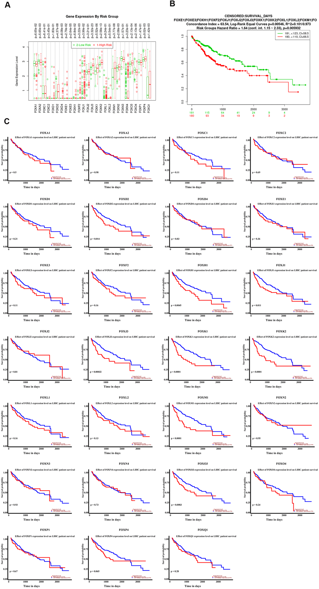 The expression levels of FOX proteins were independent predictors for overall survival of HCC patients. (A) The Box plots of individual FOX protein in low (green) and high (red) risk groups of TCGA-LIHC patients. (B) Cox overall survival analysis in SurvExpress showed that HCC patients with high expression levels of FOX proteins had shorter overall survival. (C) The association between Individual FOX protein expression level with overall survival of HCC. *P**P***P