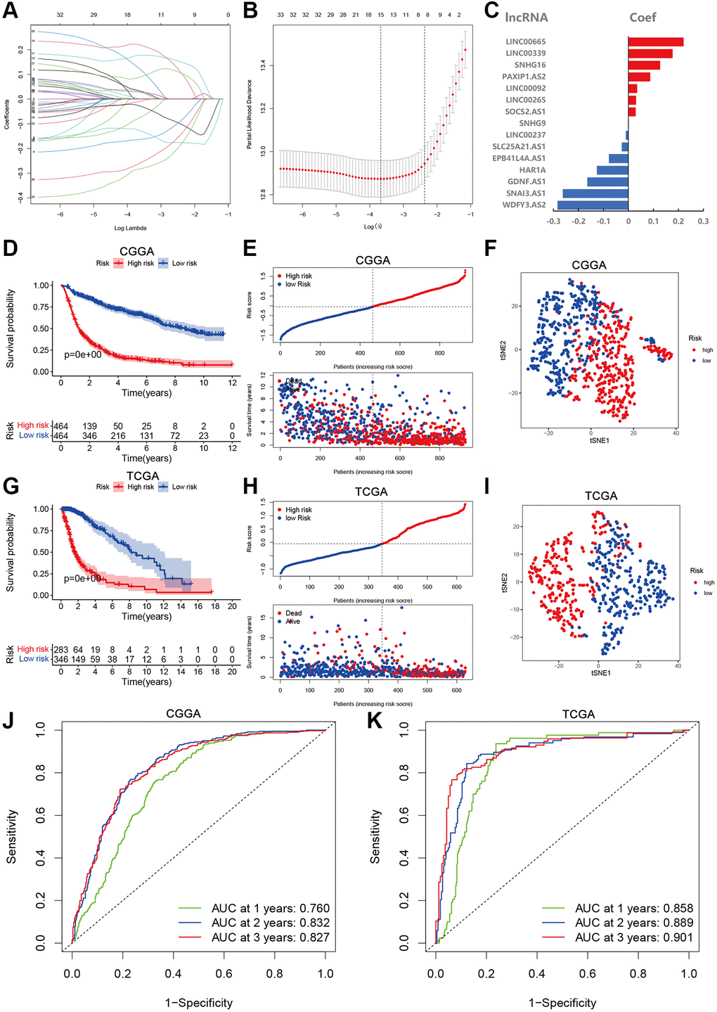 Development and validation of aging-related lncRNAs prognosis signature. (A) LASSO regression of 15 aging-related lncRNAs. (B) Cross-validation for tuning the parameter selection in the LASSO regression. (C) Coefficient of prognosis model regression. (D) Kaplan-Meier curves of high-risk group and low-risk group in CGGA. (E) Distribution of risk score and patients based on the risk score in CGGA. (F) The tSNE2 method showed obvious two components in CGGA. (G) Kaplan-Meier curves of high-risk group and low-risk group in TCGA. (H) Distribution of risk score and patients based on the risk score in TCGA. (I) The tSNE2 method showed obvious two components in TCGA. (J and K) ROC curves of prognostic signature based on risk score in CGGA and TCGA.