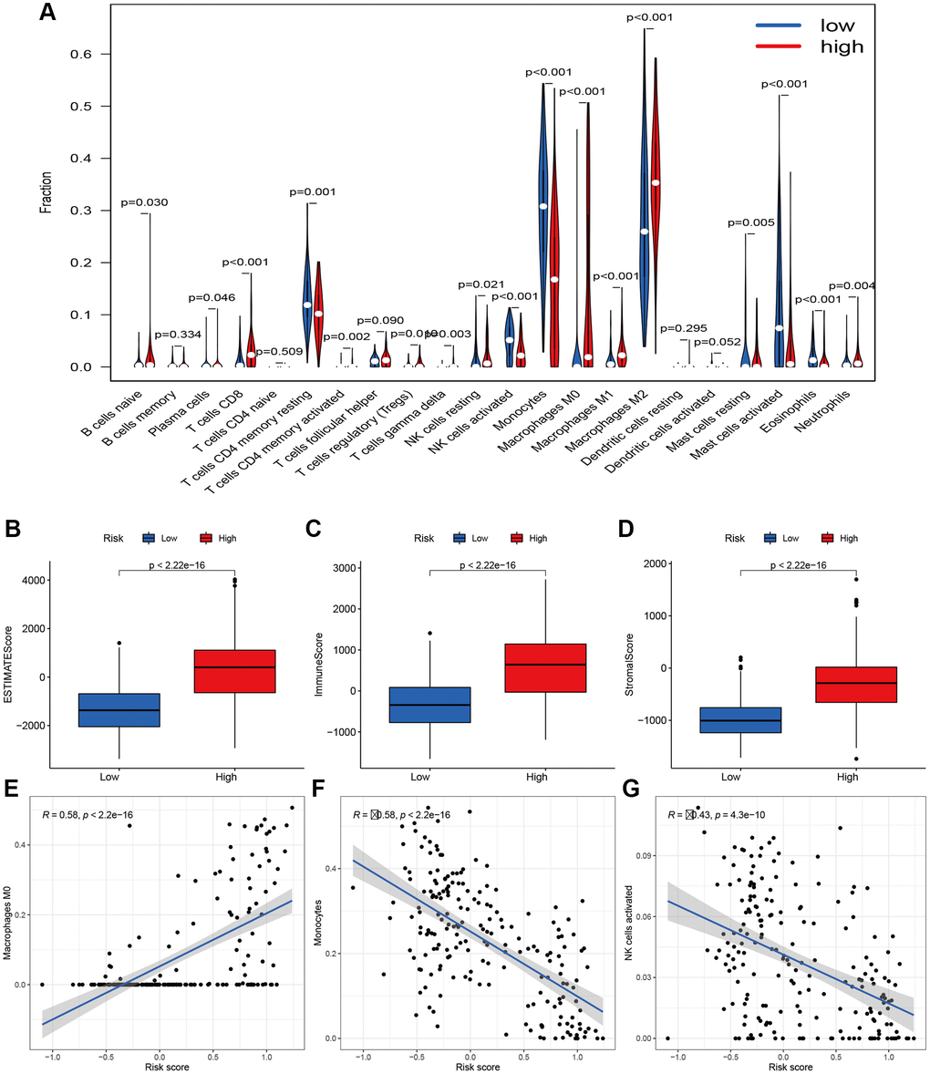 Immune filtration analysis between high- and low-risk groups. (A) Differential analysis of immune-related cells based on risk score. (B–D) Boxplot showed the comparisons of Estimation, immune and stromal score between high- and low-risk groups. (E–G) Scatter plot showed that the correlations of risk score with Macrophages M0, Monocytes, and NK cells activated