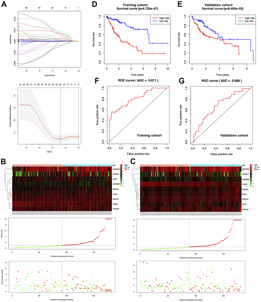 Establishment of the prognosis prediction nomogram. (A) Signature gene number determined through LASSO analysis. (B, C) The top, middle and bottom represent prognostic signature gene expression within the high- or low-risk group, risk score distribution, and patient survival of both cohorts, respectively. (D, E) KM curves for both cohorts. (F, G) ROC curves for both cohorts.