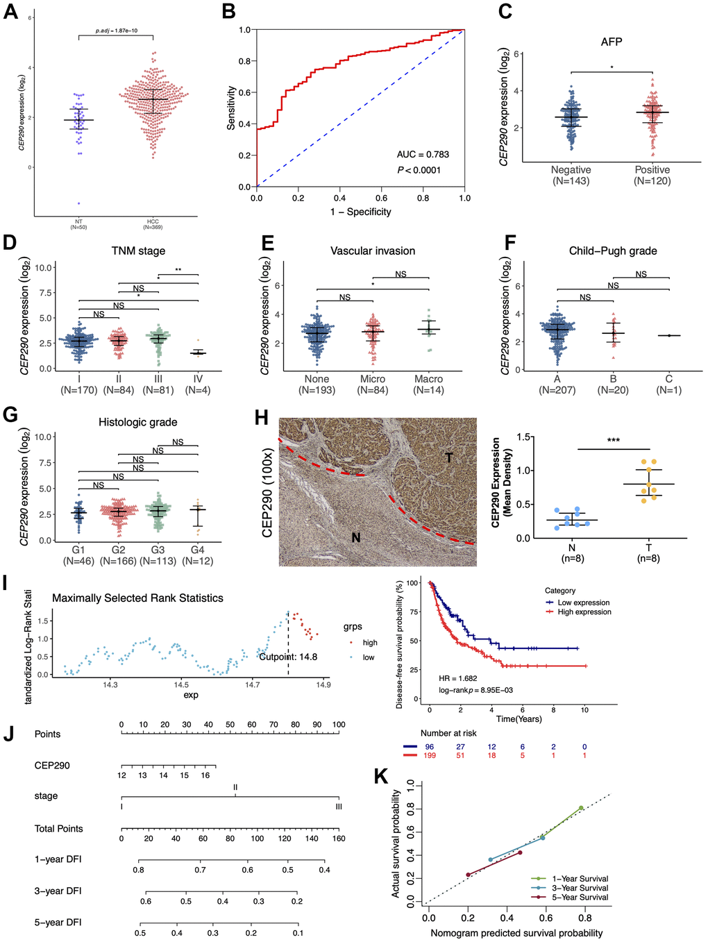 Clinical significance of CEP290. (A) The CEP290 mRNA expression level is shown in TCGA-LIHC data (n=419). (B) Validation of the predictive value of CEP290 upregulation in diagnosing HCC based on the ROC curve. (C–G) CEP290 levels in comparison with AFP, TMN stage, vascular invasion, Child-Pugh grade and histologic grade. (H) Typical images (left) as well as quantification (right) of the IHC staining of CEP290 in the 8 HCC specimens and matched non-cancerous specimens. (I) DFS analysis based on the X-tile plots threshold. (J) Prognosis nomogram for HCC cases after surgery. (K) Calibration curve for the nomogram used to predict 1-, 3- and 5-year DFS.