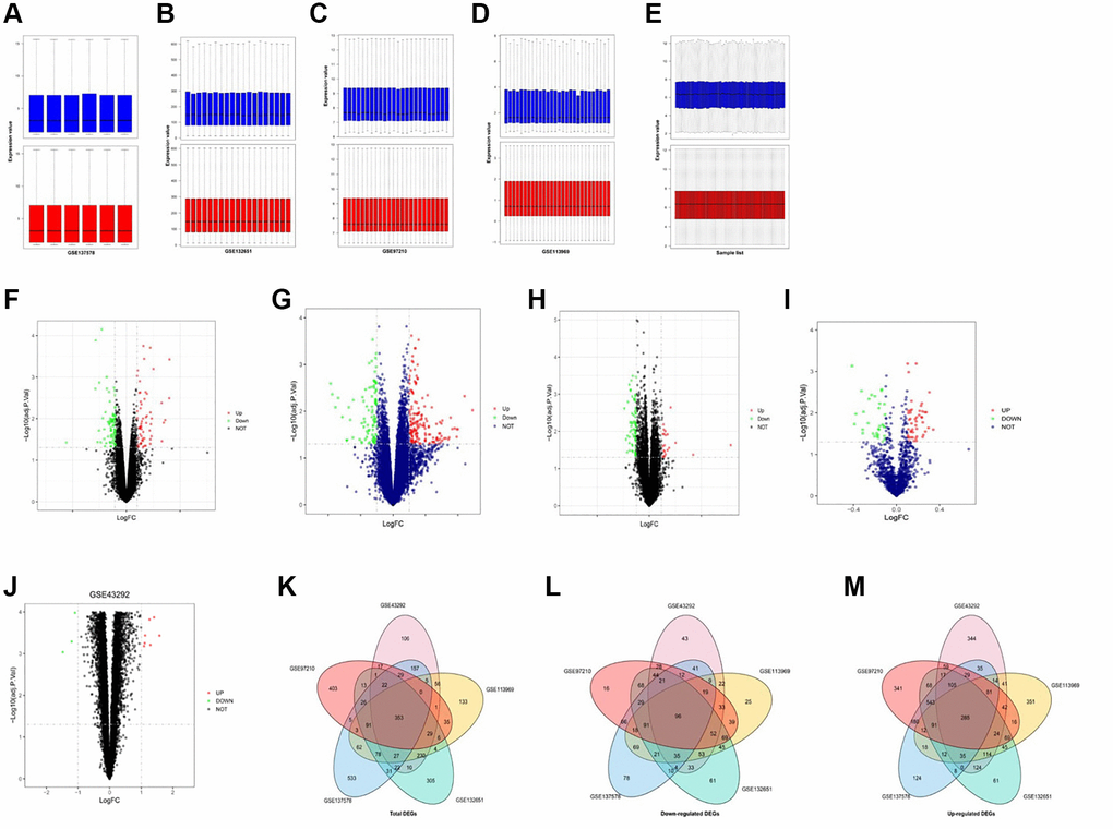 Identification and integration of DEGs in AS. (A–E) Pre-standardization and post-standardization gene expressions of GSE137578, GSE132651, GSE113969, GSE43292 and GSE97210 are demonstrated. (E–H) DEGs of each dataset are assessed by criteria of P F–J) Volcano maps of the top 100 DEGs of GSE137578, GSE132651, GSE113969, GSE97210 and GSE43292. (K–M) The total upregulated and downregulated DEGs of GSE137578, GSE132651, GSE113969, GSE43292, and GSE97210 are overlapped and depicted by the Venn diagram analysis.