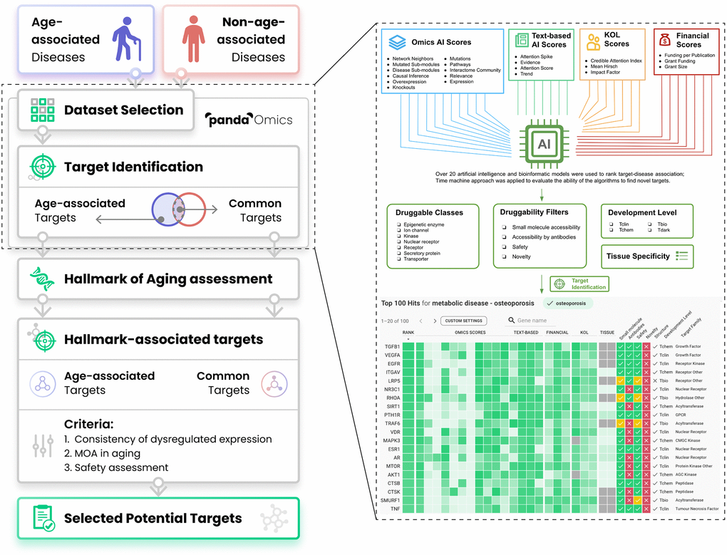 Workflow of the present study. Thirty-three diseases were separated into either age-associated diseases (AADs) or non-age-associated diseases (NAADs) based on the impact of age on the risk of the disease’s onset. Their corresponding transcriptomic datasets were retrieved from public repositories and processed by PandaOmics. Age bias between case and control groups has been considered during dataset selection. With multiple levels of novelty settings, targets implicated in AADs and NAADs were identified by ‘PandaOmics - target identification’. PandaOmics prioritized targets for one disease and refined the targets based on several flexible druggability filters. The target-disease associations were ranked according to over 20 artificial intelligence and bioinformatics models ranging from Omics AI scores, Text-based AI scores, Finance scores to KOL scores. Target identification was performed independently for each disease. Top-ranked targets shared by both disease categories were regarded as common targets, while targets unique to AADs were defined as age-associated targets (AAD targets). All common targets and AAD targets were subjected to the hallmarks of aging assessment by searching the literature for their evidence in modulating longevity or longevity pathways. To propose potential targets with a dual role in anti-aging and disease treatment, hallmark-associated targets were further evaluated based on their expression profiles across AADs, mechanism of action, and safety. A total of 9 targets were selected, with three levels of novelty. Abbreviation: KOL: Key opinion leader.