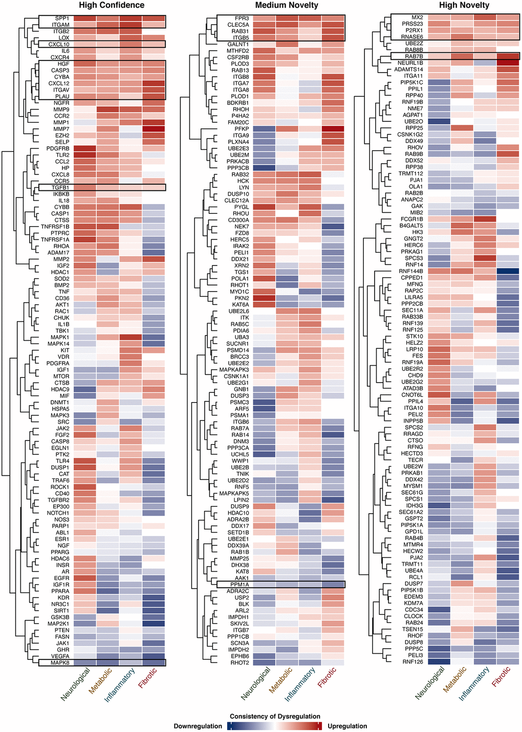 Expression of target genes in 4 AAD classes. The consistency of gene dysregulation in each disease class is indicated by the thermal scale, with red standing for upregulation and blue for downregulation. The color intensity indicates the level of consistency. Target genes consistently dysregulated (≥60% of comparisons) in 4 AAD classes in a unidirectional manner are shown in the black boxes.