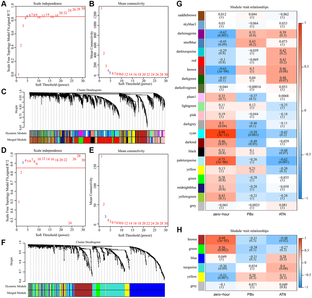 Identification of AKI-related co-expression modules. (A) Analysis of the scale-free fit index for various soft-thresholding powers (β) in mRNA expression profiles. (B) Analysis of the mean connectivity for various soft-thresholding powers in mRNA expression profiles. (C) Dendrogram of genes clustered based on a dissimilarity measure (1-TOM). (D) Analysis of the scale-free fit index for various soft-thresholding powers (β) in miRNA expression profiles. (E) Analysis of the mean connectivity for various soft-thresholding powers in mRNA expression profiles. (F) Dendrogram of miRNA clustered based on a dissimilarity measure (1-TOM). (G) Heat map of correlation between gene co-expression module and AKI. (H) Heat map of correlation between miRNA co-expression module and AKI.