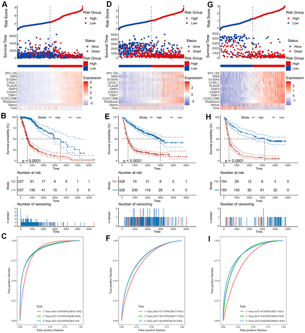 Construction of the risk score signature. (A) Risk signature in the TCGA cohort. (B) Kaplan-Meier analysis according to risk score in the TCGA cohort. (C) The ROC curves depicting the sensitivity and specificity of risk score in predicting the 1-, 3- and 5-year survival in the TCGA cohort. (D) Risk signature in the CGGA mRNAseq-693 cohort. (E) Kaplan-Meier analysis according to risk score in the CGGA mRNAseq-693 cohort. (F) The ROC curves depicting the sensitivity and specificity of risk score in predicting the 1-, 3- and 5-year survival in the CGGA mRNAseq-693 cohort. (G) Risk signature in the CGGA mRNAseq-325 cohort. (H) Kaplan-Meier analysis according to risk score in the CGGA mRNAseq-325 cohort. (I) The ROC curves depicting the sensitivity and specificity of risk score in predicting the 1-, 3- and 5-year survival in the CGGA mRNAseq-325 cohort.