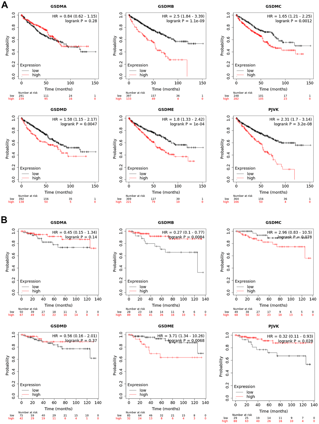 Prognostic values of GSDM family in ccRCC. (A) The overall survival (OS) curve of GSDM molecules in ccRCC patients (Kaplan-Meier plotter). (B) The relapse-free survival (RFS) curve of GSDM molecules in ccRCC patients (Kaplan-Meier plotter).