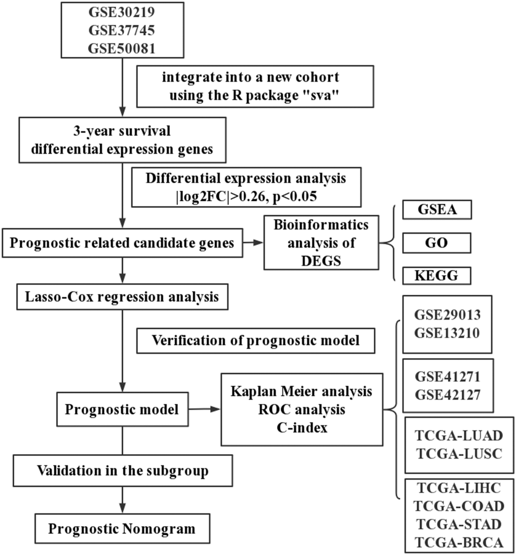A schematic flowchart for analyzing prognosis-related risk score in lung cancer.