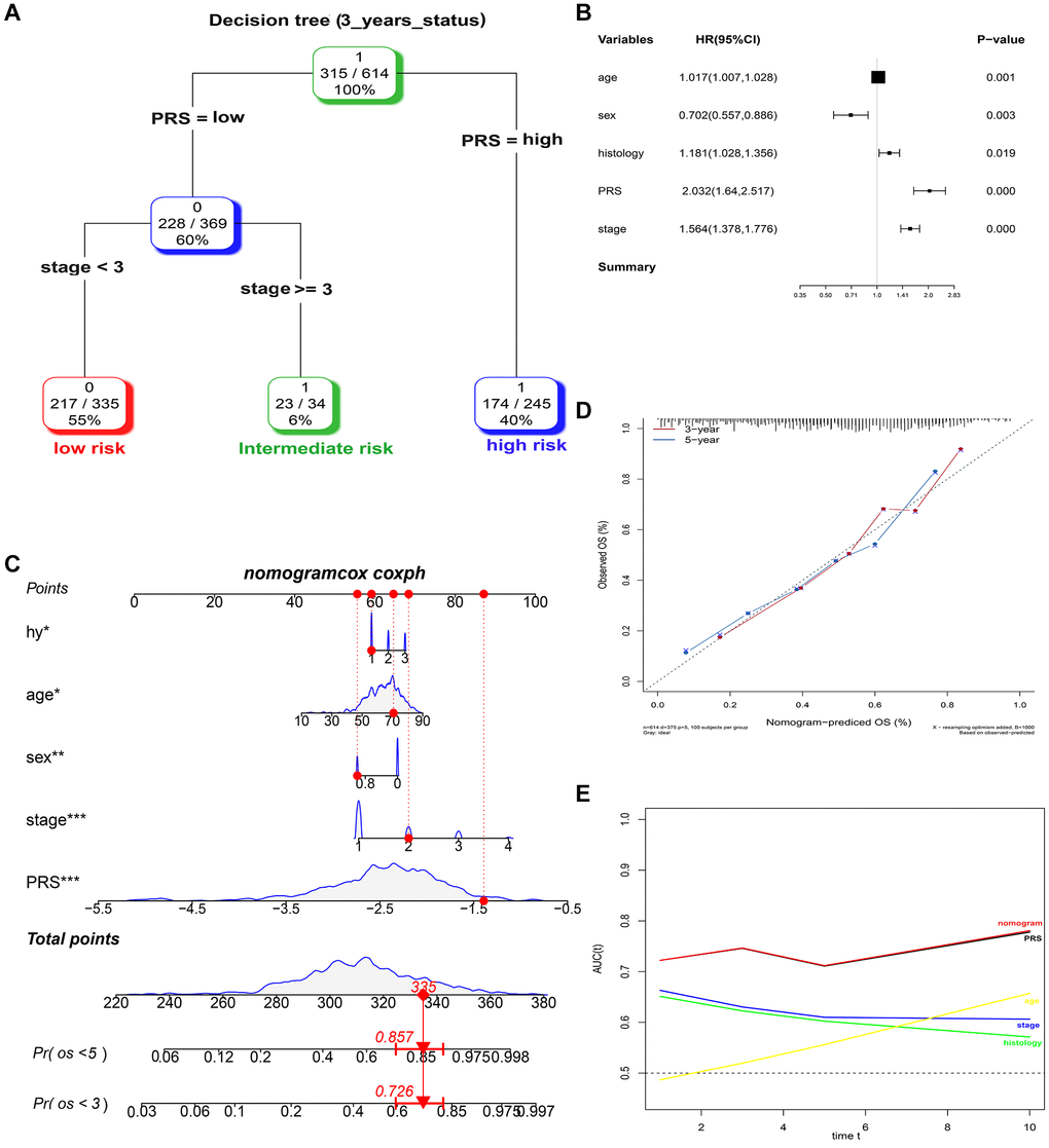 Combination of the PRS signature and clinical features improves survival prediction in training sets. (A) A decision tree was constructed to improve risk stratification. (B) Multivariate Cox regression model (complex model). (C) Survival nomogram for quantifying risk assessment for individual patients. (D) Calibration analysis revealed a high degree of accuracy in predicting survival at 3 or 5 years. (E) Among all clinical variables, tROC analysis demonstrated that the nomogram was the most stable and powerful predictor of OS.
