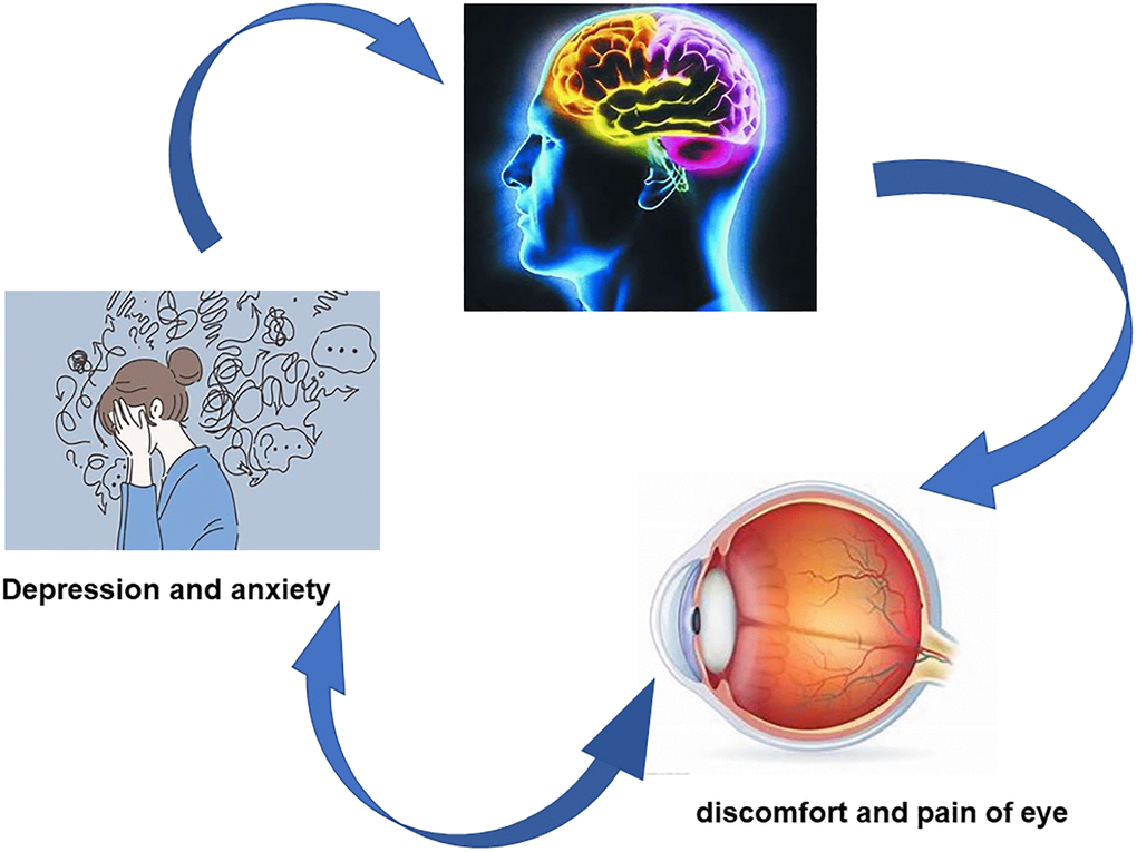 Correlation between DTI and NODDI values and emotional disorder. Compared with HC group, the values of DTI and NODDI in some brain white matter regions were significantly different in PAT group, and patients with dry eye were more prone to depression and anxiety. Abbreviations: HC: healthy controls; PAT: patient controls.