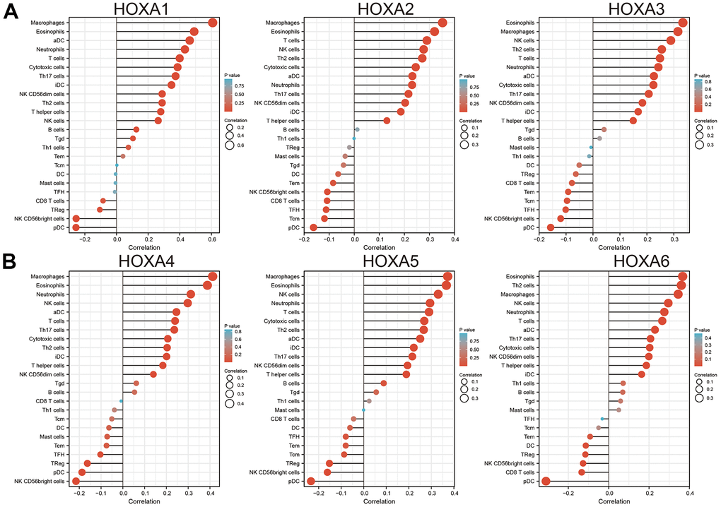 Analysis the correlation between HOXAs expression and diverse immune cell infiltration. (A, B) Analysis correlation between HOXAs expression and diverse immune cell infiltration examine by GSVA R package. *p 