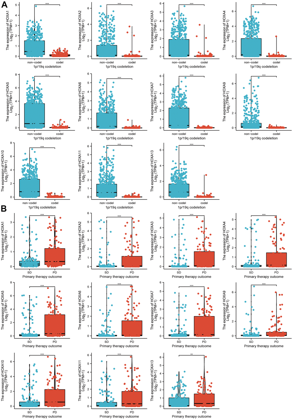 The correlation between HOXAs expression and clinical information in LGG. (A, B) The correlation between HOXAs expression and clinical features, including the 1p/19q codeletion and primary therapy outcome in glioma based on TCGA-LGG. *p 