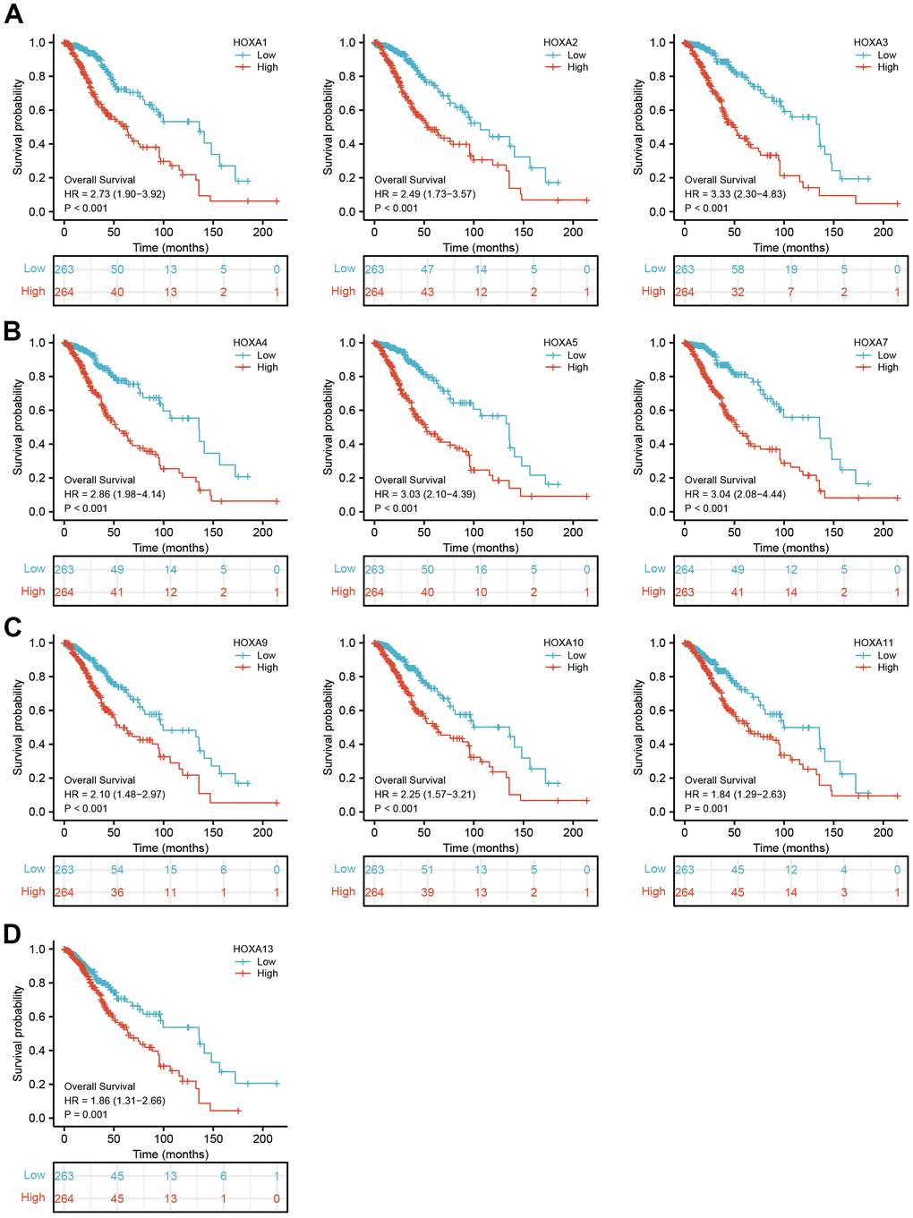 The overall survival of HOXAs in LGG. (A–D) The overall survival of HOXAs in LGG examine by TCGA database.