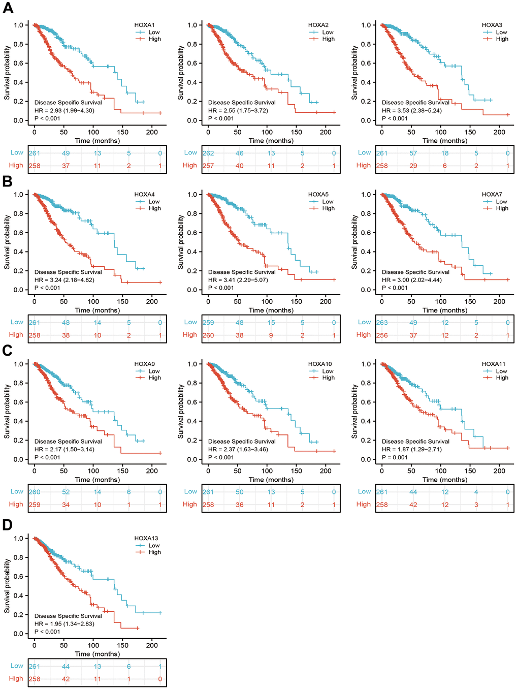 The disease specific survival of HOXAs in LGG. (A–D) The disease specific survival of HOXAs in LGG examine by TCGA database.