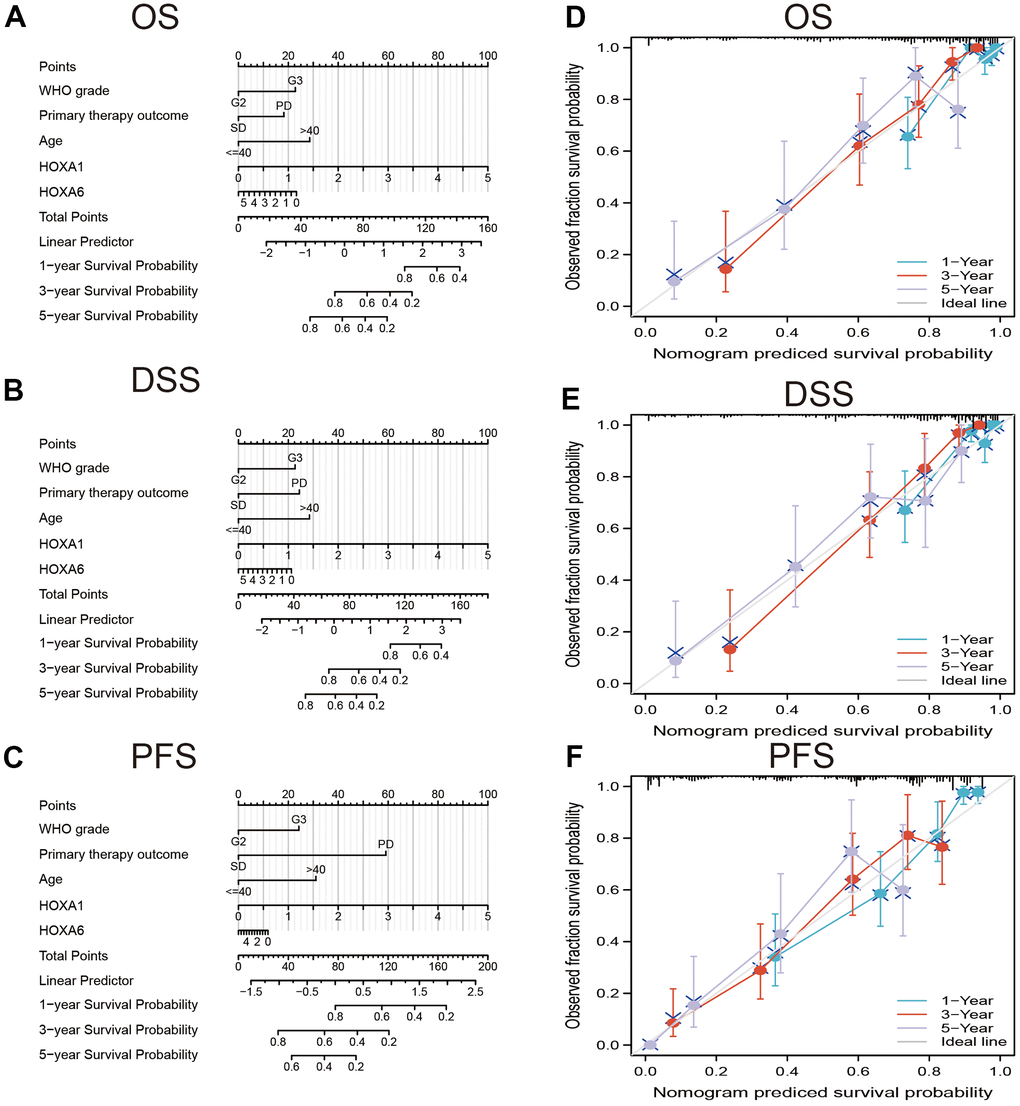 Construction and performance validation of the HOXAs based nomogram for LGG patients. Nomogram to predict (A) OS, (B) DSS and (C) PFI for lung cancer patients. The calibration curve and Hosmer–Lemeshow test of nomograms in the TCGA-LGG cohort for (D) OS, (E) DSS, and (F) PFI.