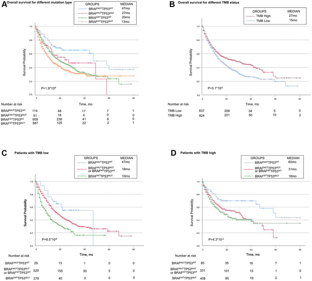 Associations of TP53 and BRAF mutation types with prognosis in patients treated with immune checkpoint inhibitors. (A) Patients with the BRAF mutation alone had the best prognosis, while patients with TP53 mutation alone had the worst prognosis. Patients with mutations in both or none had median survival. (B) Patients in high-TMB status group had longer OS than patients in low-TMB status group. (C, D) In both high-TMB/low-TMB status groups, TP53MUTBRAFWT indicated poorer OS, while BRAFMUTTP53WT did the opposite. BRAF indicates B-Raf Proto-Oncogene, Serine/Threonine Kinase gene; TP53 indicates tumor protein p53 gene; MUT indicates mutant genes; WT indicates wild type genes; TMB indicates tumor mutation burden; MSI indicates microsatellite instable.